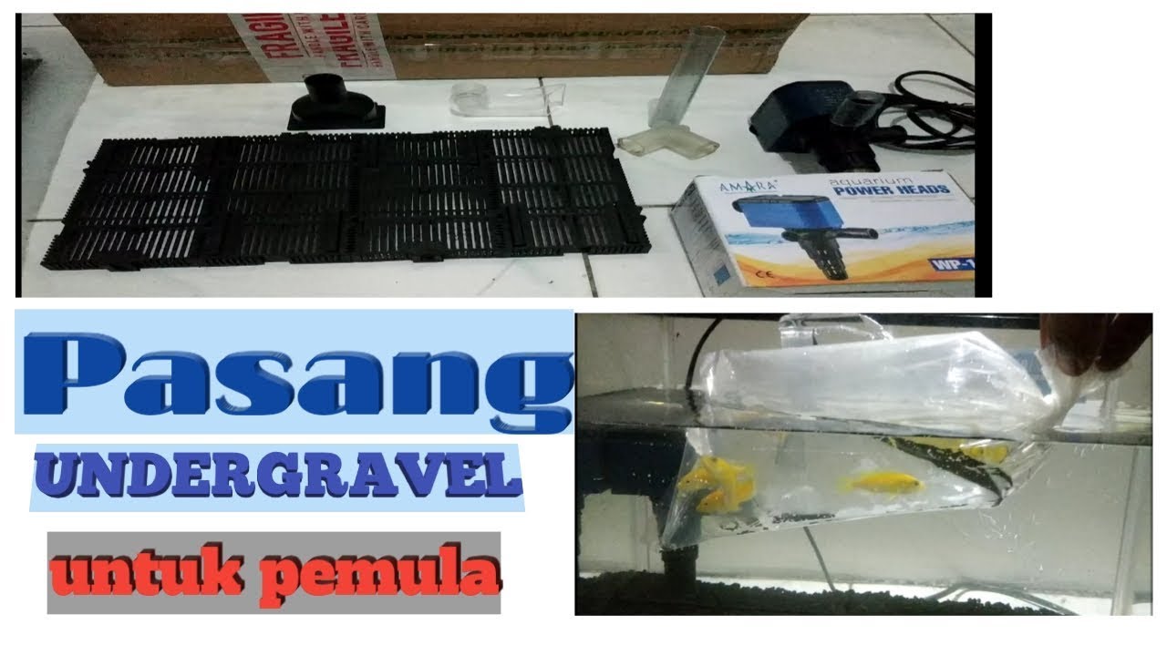 UNTUK PEMULA - Cara Pasang Filter Undergravel Aquarium