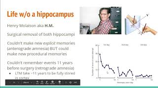 4.5 - Biology of Memory Storage