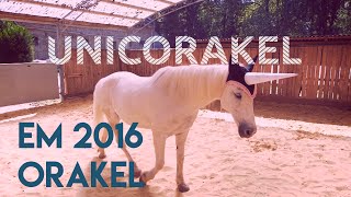 Unser Em-Orakel Willy Das Einhorn - Unicorn Tv