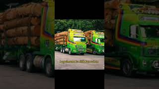 Koleksi Tik Tok Lori