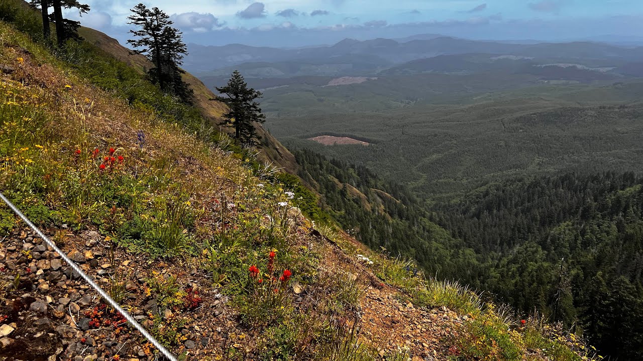 Saddle Mountain Hike | 11 June 2025
