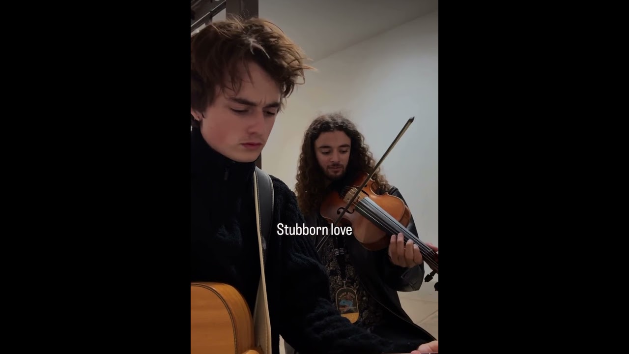Stubborn love #lumineers #acousticcover #indie #folk #fyp