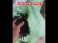Оптом "Биогумус"