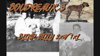Boudreauxs Blind Billy 1Xw 1Xl