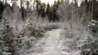 Fleet of Clay - The Truth