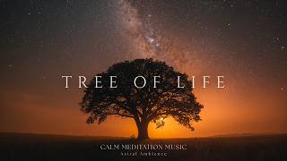 Tree Of Life | Deep Meditation Music Beneath Eternal Stars - Healing Ambient Soundscape screenshot 4