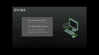 Famous EVGA PD02 PCoIP Zero Client Wealth