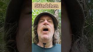 Ständchen, Schubert, Schwanengesang (Serenade/Love Song)