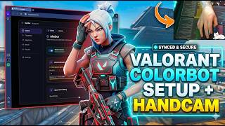 This Valorant Colorbot Beats Riot's Anti-Cheat System