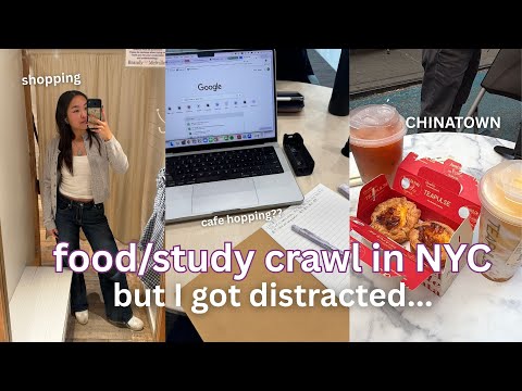 chinatown food crawl & study crawl in NYC!! with a hint of shopping
