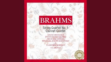 String Quartet No. 1 in C Minor, Op. 51: II. Romanze. Poco adagio