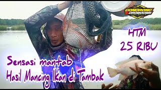 Sensasinya Mantab !! Hasil mancing di Tambak !