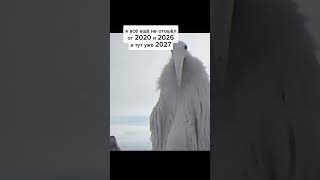 мем из 2027 или 2026 #мем #shorts #2026 #2027 #мемы