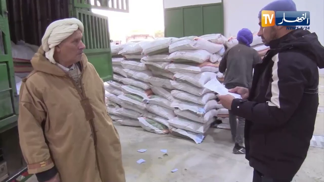 البيض : تواصل عملية توزيع الأعلاف والشعير المدعم على الموالين