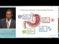 Keynote Lecture 1: Unraveling the taxonomy in gastric cancer