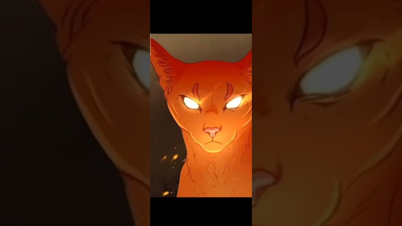 Сол коты воители