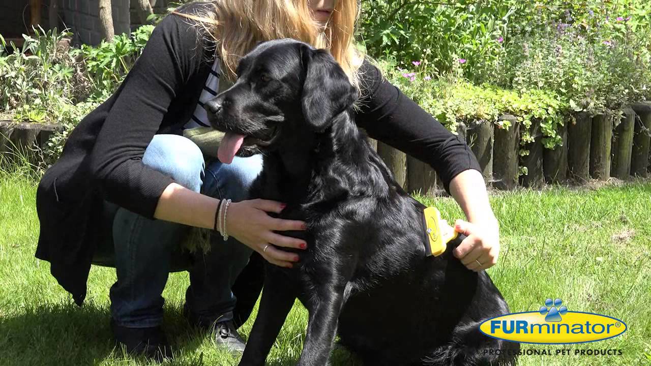 FURminator ShedControlCloths für Hunde