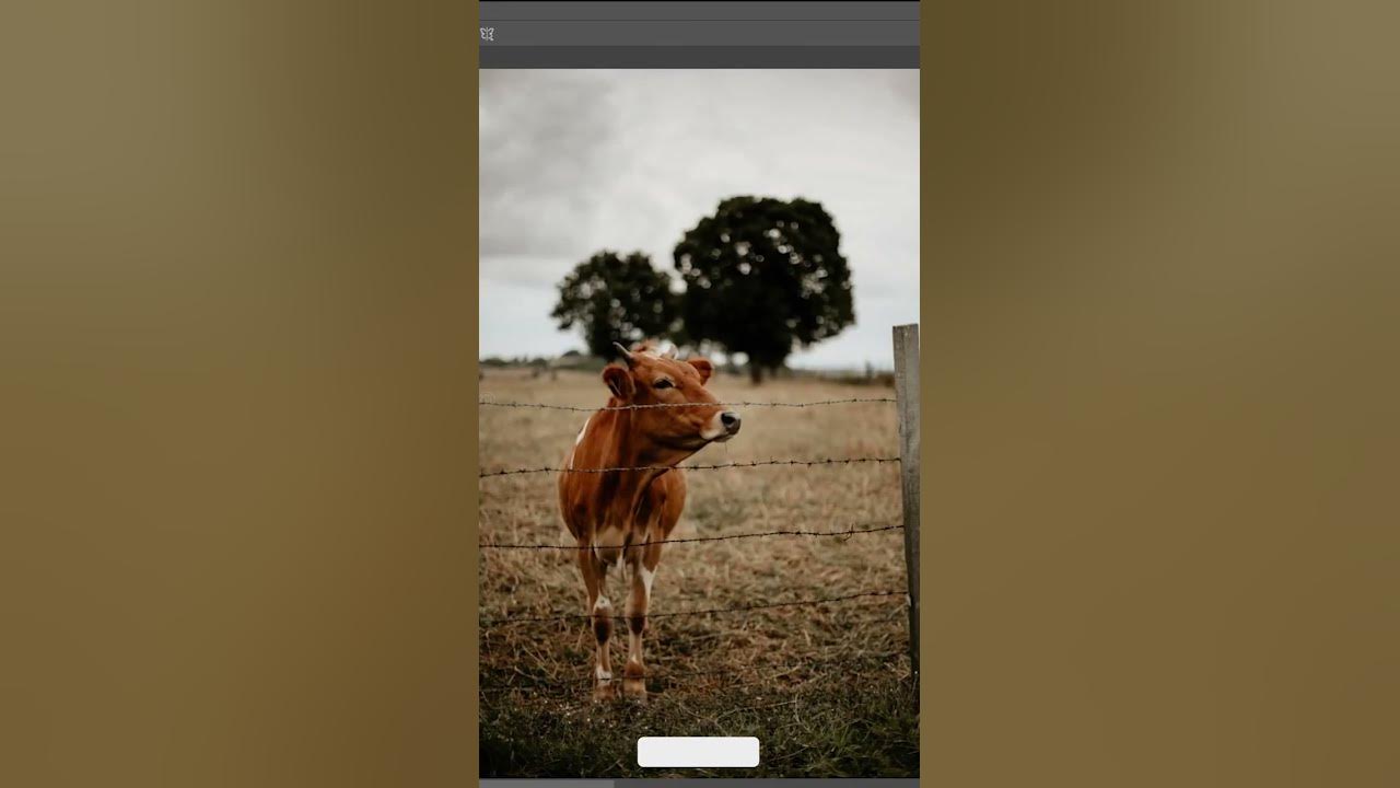 how-to-remove-cow-fence-hemenboro-photoshop-photoshoptutorial-youtube