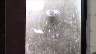 Artist Tom Deininger: finding beauty everywhere