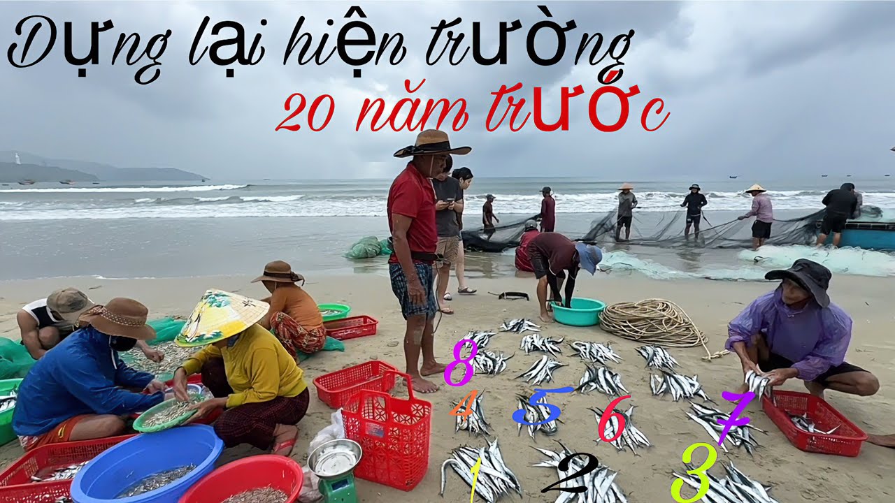 Thời Tiết Hôm Nay Xấu Ngư Dân Sơn Trà Đánh Bắt Nhiều Cá Liêm, Cá Lựa Chia Nhau Về Ăn