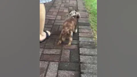Sammie