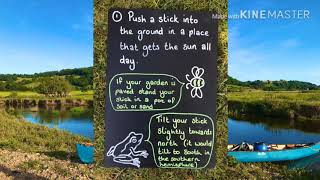Wild East Devon Outdoor Learning for your garden: Make a Sundial ☀️