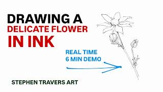 Delicate Drawing in Ink Demo