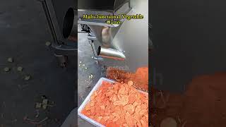 Replaceable Cutting Discs | One Machine for Potato Slices Shreds and Dices