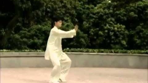 CHEN SHI TaijiQuan Form 22 by the Late Ma Chang with a Chinese NEW AGE music !.