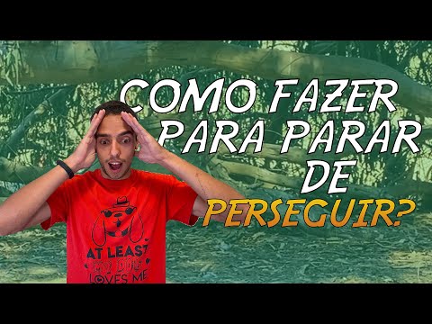 Vídeo: Como parar um cão de perseguir carros