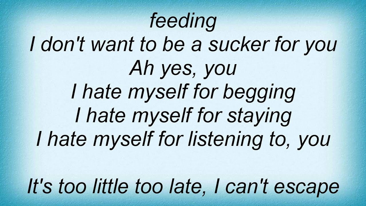 16309 Our Lady Peace - Do You Like It Lyrics