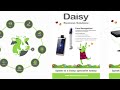 Daisy Solutions Slideshow - KZN