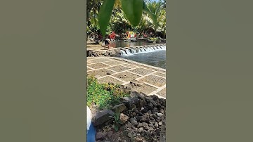 liburan ke wisata Jopuro banyuwangi #seger  #banyuwangi