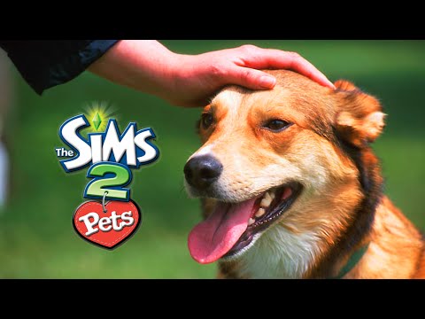 Video: De Sims 2 Huisdieren