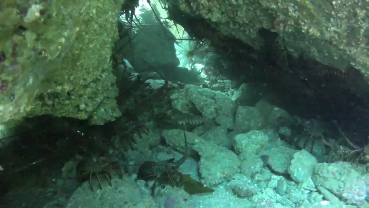 Lobster cave in Catalina Island, Sep 2012 Aryan N. YouTube