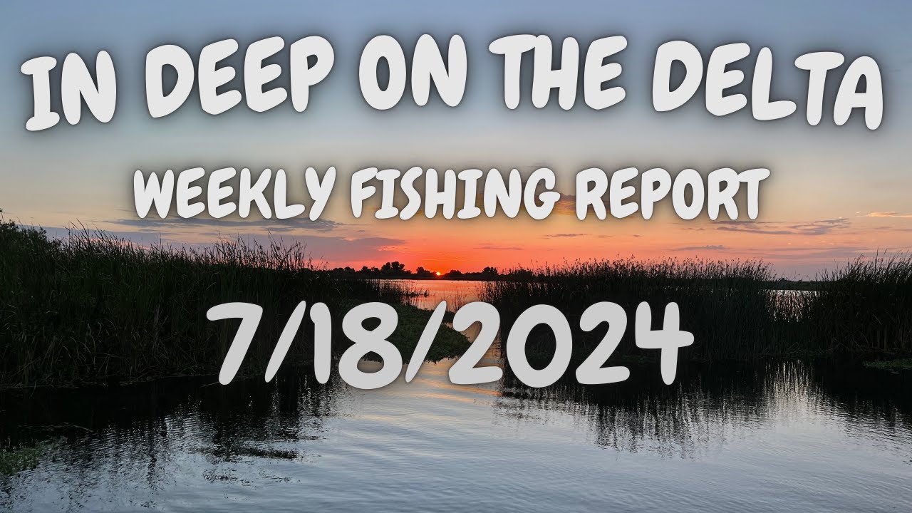 The In Deep On The Delta Fishing Report For 7/18/2024.