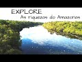 4 lugares para conhecer no AMAZONAS, com dicas de viagem - Turismo Aqui
