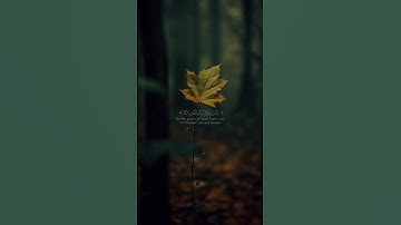 {ن ۚ وَالْقَلَم وَما يَسْطُرونَ} بصوت القارئ #شريف_مصطفى #قران_كريم 🎧🤍