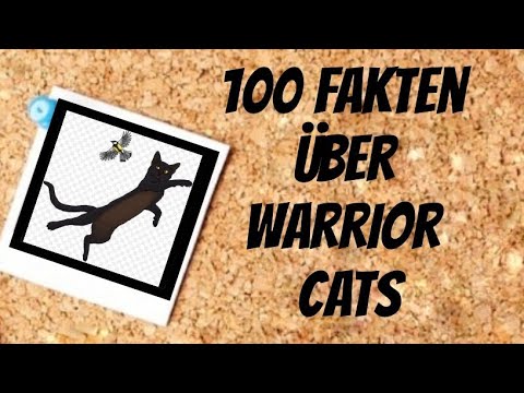 100 Fakten über Warrior Cats 100 Abonennten Special Blaubeerstern - YouTube...