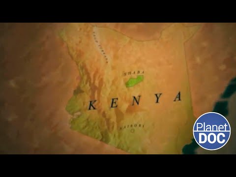The land where life seems impossible; Shaba, wind, sun and dust to discover (FULL DOCUMENTARY)
