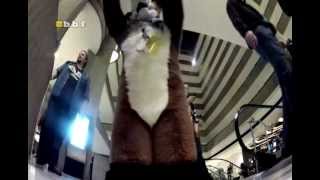Midwest FurFest 2012 (AR Edit) #2