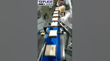 slice bread feeding packing machine