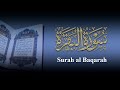 سوره البقره تلاوة هادئة جدا تريح الاعصاب للنوم محمود بيومى Mahmoud Bayoumi سوره البقره تلاوة هادئة جدا تريح الاعصاب للنوم محمود بيومى Mahmoud Bayoumi
