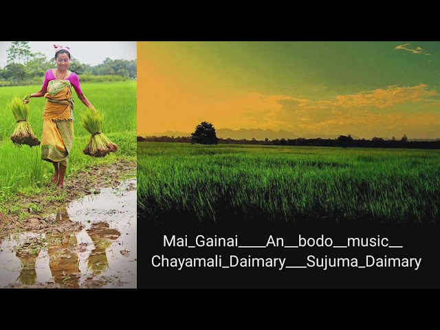 New Bodo Song_Mai_Gainai___An_official_bodo_music_video__Chayamali_Daimary__Sujuma_Daimary class=