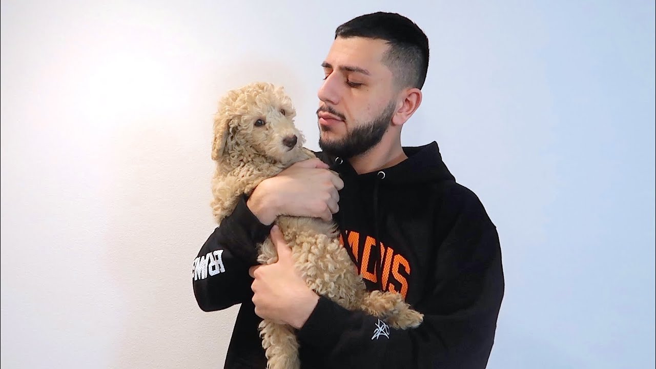 I Have To Get Rid Of My Dog Youtube I Have To Get Rid Of My Dog Youtube
