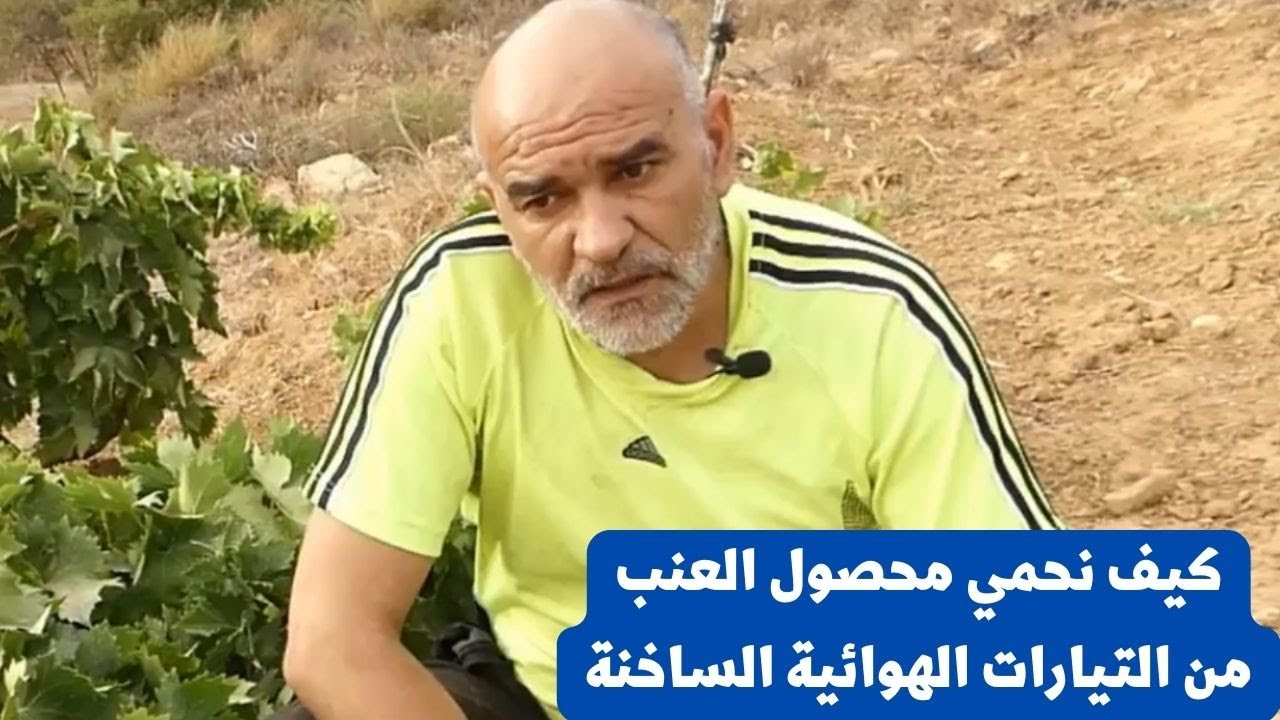 كيف نحمى أشجار االعنب  من ارتفاع درجات الحرارة / الظروف البيئية المؤثرة  ثمار العنب 🍇 📎الحرارة