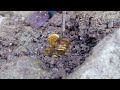 Unexpected wealth/gold, amethyst, yellow crystal, agate, diamond, mining gem