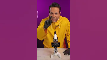 الدم تحت الميكرسكوب 