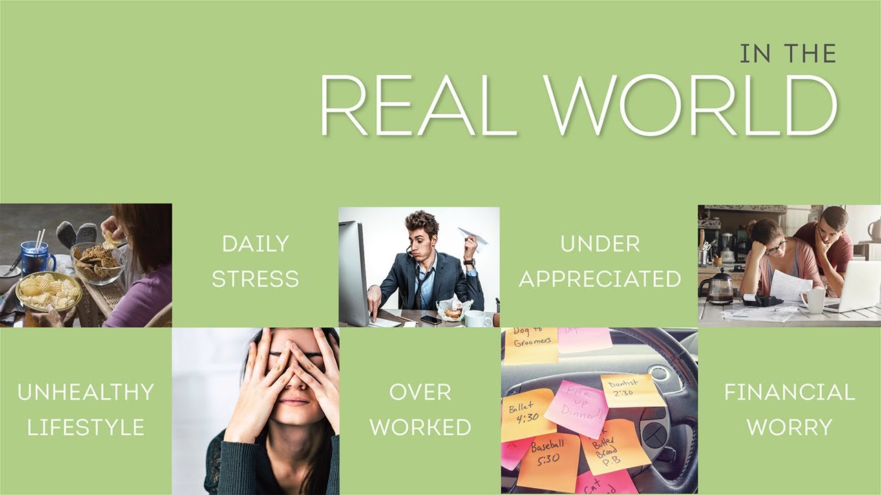 Z Blends Hemp Oils  | Let's Talk About Our New Hemp Products