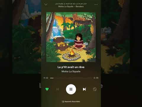 Moha la squale - Le p’tit avait un rêve